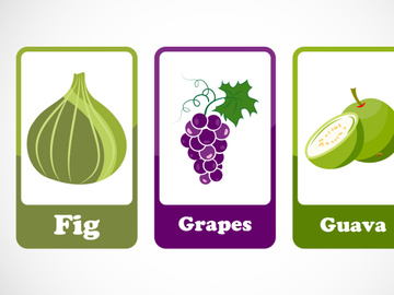 Fruit flashcards for kids. Educational cards for preschool. Printable vector illustration