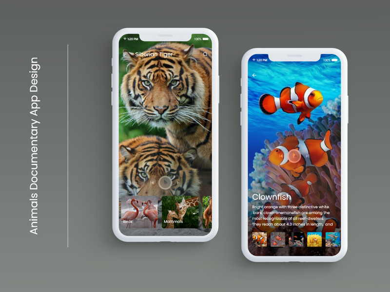 Animals Documentary App Design by SHAH RUKH KHAN ~ EpicPxls