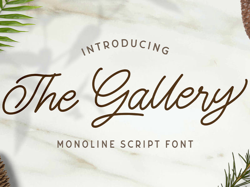 The Gallery - Monoline Script Font by Stringlabscreative ~ EpicPxls