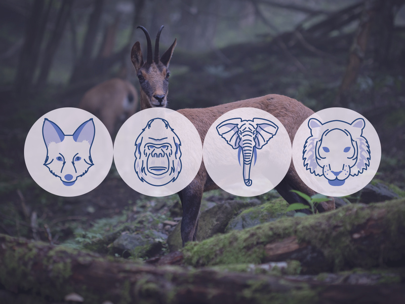 Bleu : Animals Icon Set