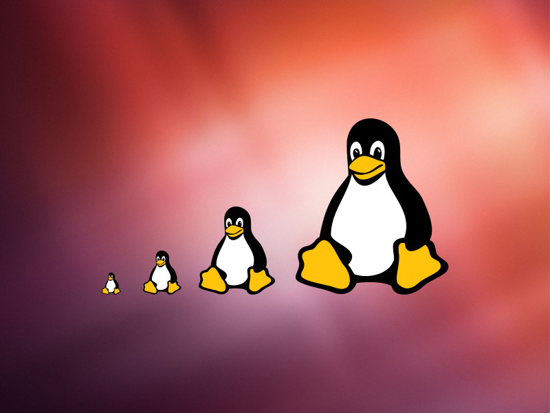 Linux图标 16px / 32px / .../ 256px(Linux icon 16px / 32px / ... / 256px)插图