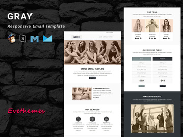 GRAY - Responsive Email Template