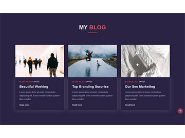 Blog Page Template Design