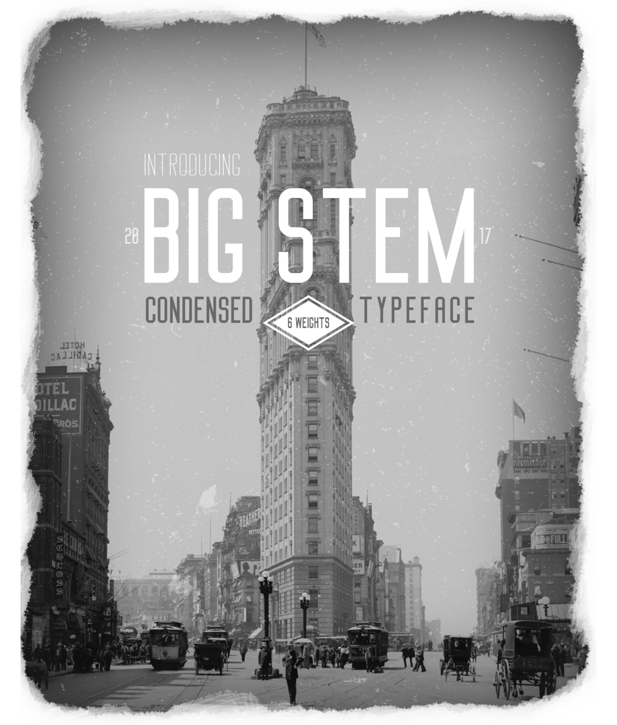 Big Stem - 免费字体 | 字体(Big Stem - Free Typeface | Font)插图