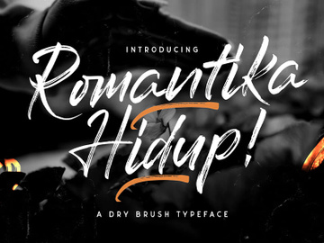 Romantika Hidup - Dry Brush Script Font
