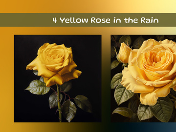 Yellow Rose in the Rain