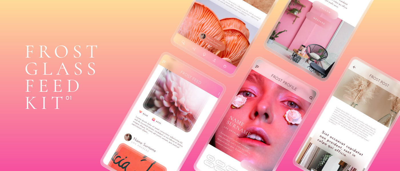 Glass Frost Feed UI Kit 01 - Demo Gratis
