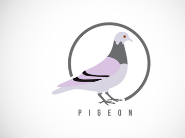 Pigeon in a circle. Pigeon logo design template vector illustration