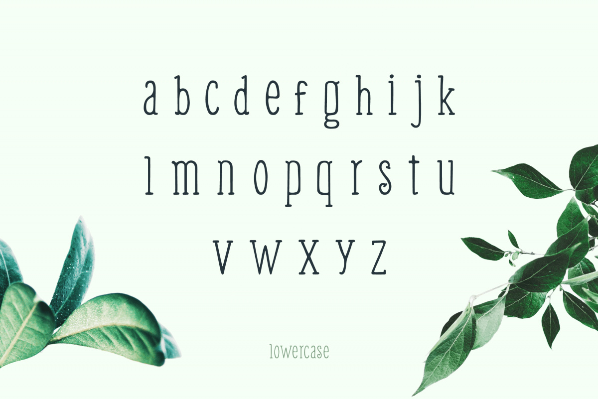 Weem – Free Hand Lettered Font 