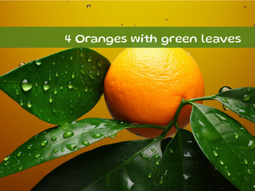 Oranges with green leaves