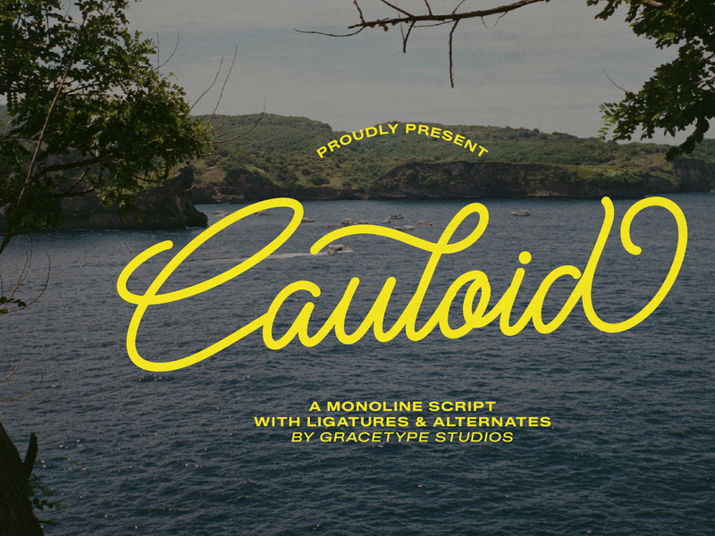 Cauloid | Monoline Script by Gracetypestudio ~ EpicPxls