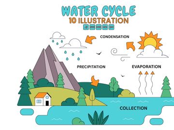 10 Water Cycle Illustration