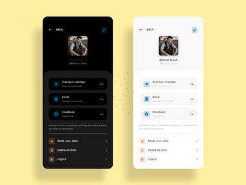 User profile as Light and Dark modes