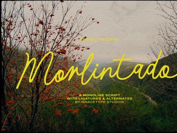 Morlintado | Monoline Script