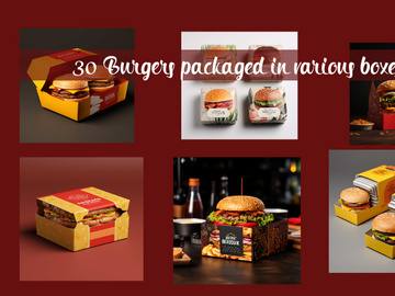 Burgers packaged in various boxes