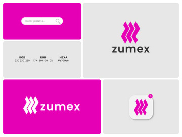 Letter Z Logo Design - App Logo Design - Business - Agency - Blog - Cosmetic