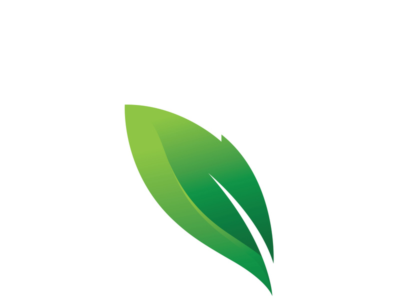 Green leaf logo design template modern leaf logo vector by ~ EpicPxls