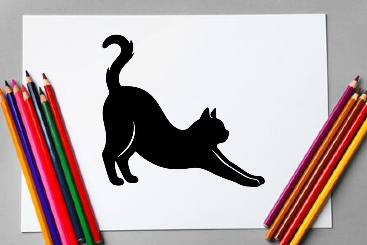 Silhouette of a Stretching Cat in a Playful Pose