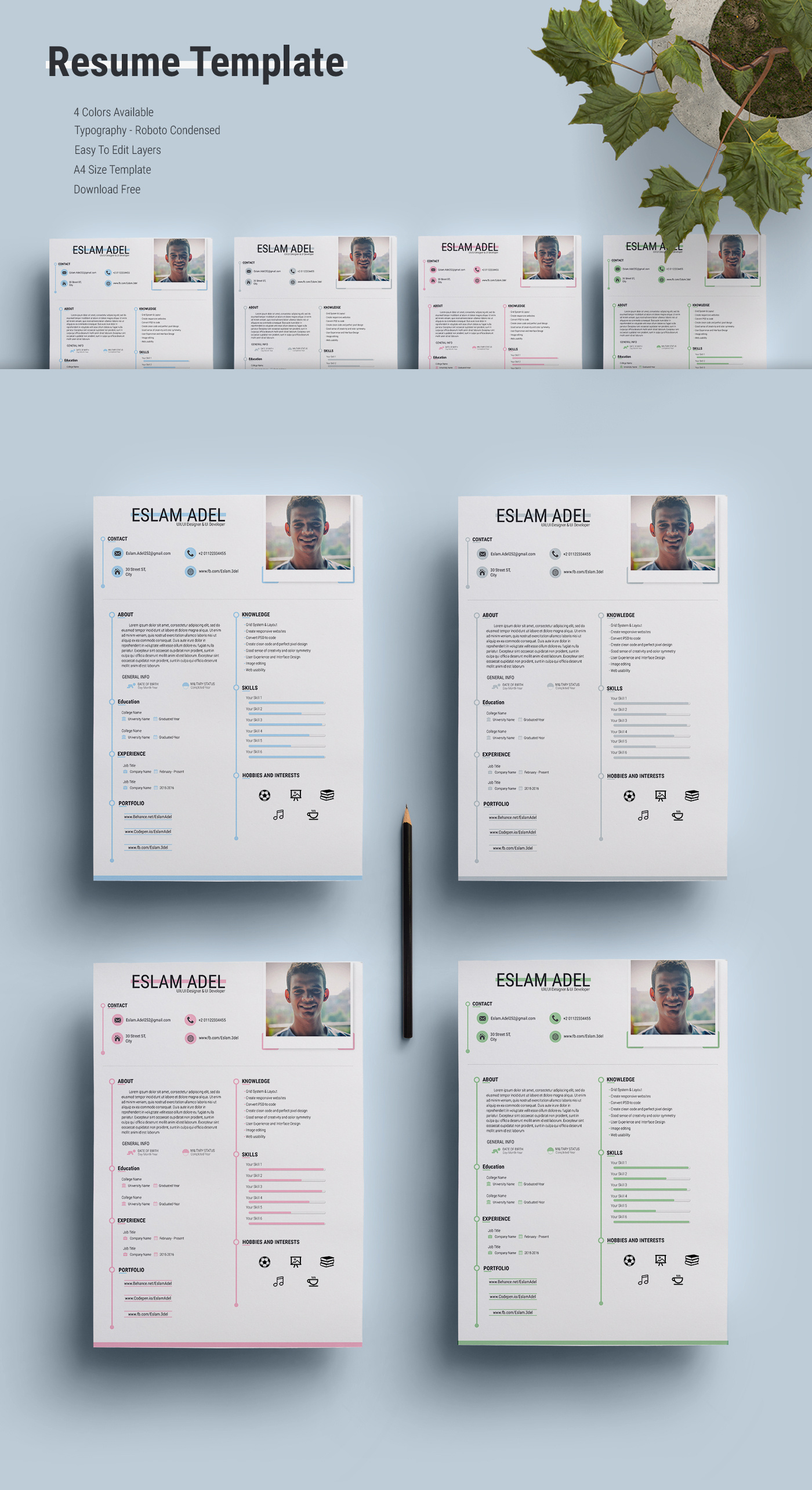 简历模板(RESUME TEMPLATE)插图