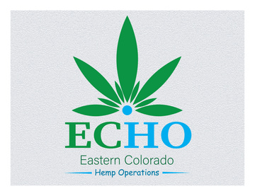 Master Logo Design in Adobe Illustrator