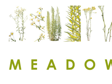 3 Meadow Plant Cutouts