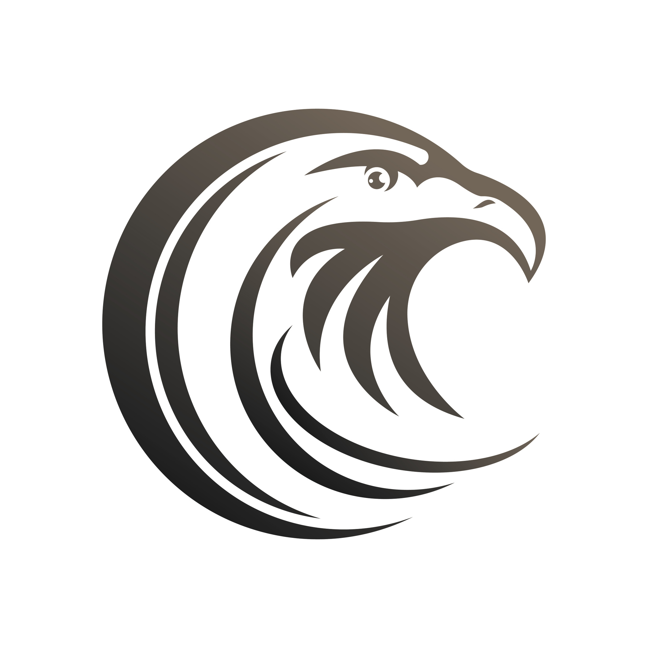 Falcon logo template vector illustration design