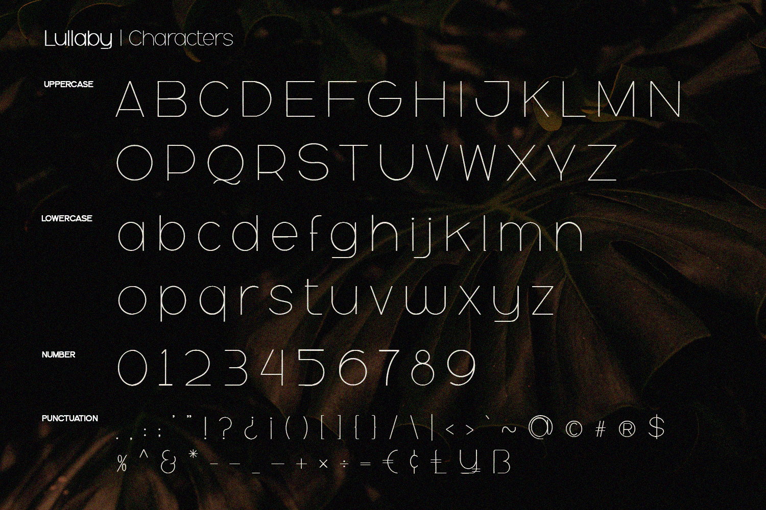 Lullaby - Sans Serif