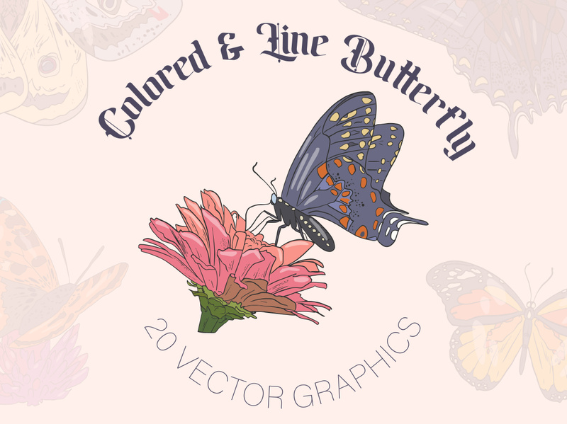 Set adorable and beauty butterfly colored, linear , vector illustration collection.