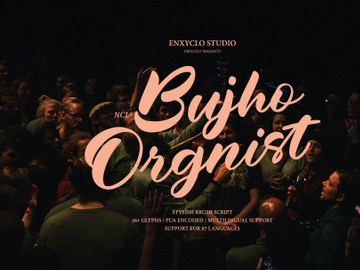 NCL BUJHO ORGNIST - Brush Script