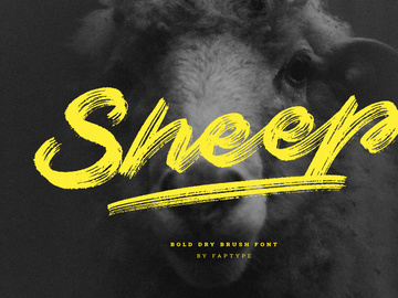 Sheep | Dry Brush Script Font
