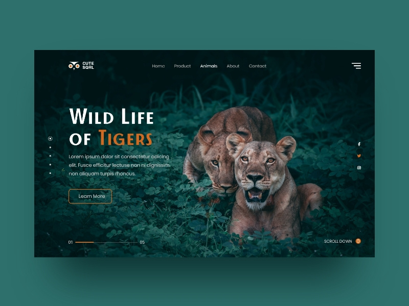 Animal Web Concept by The Dev Pixels ~ EpicPxls