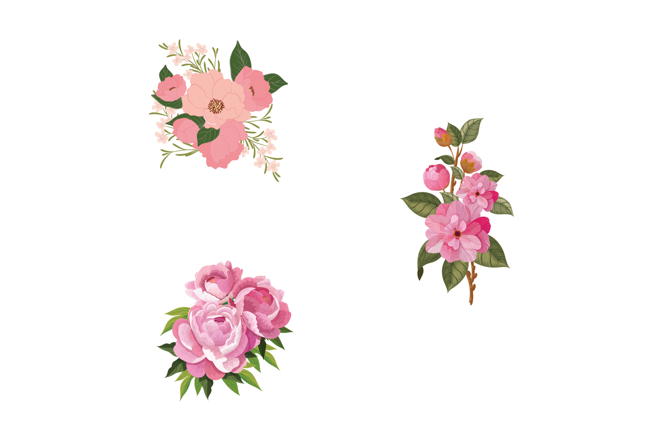 Ilustração em Vetor de Flores Aquarela