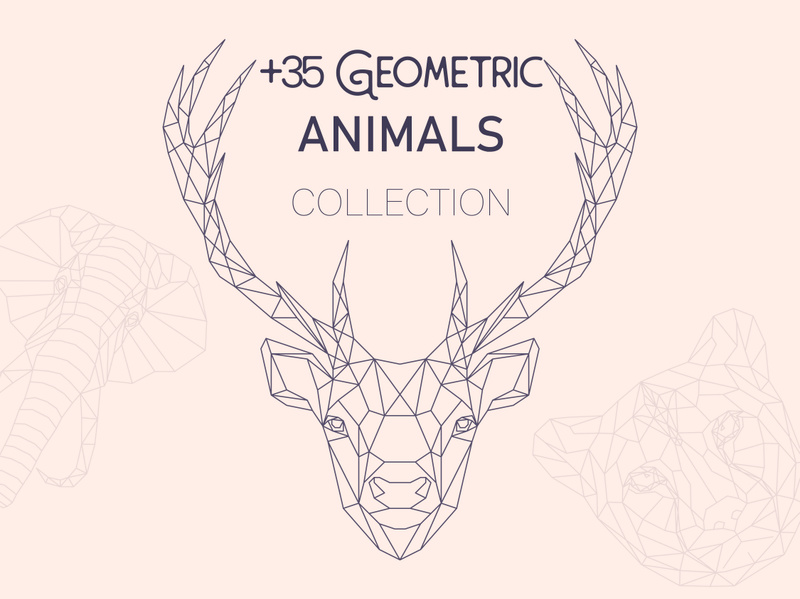 Geometric line animals set, Low poly line animals set, vector illustration