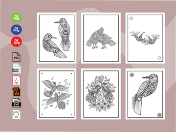 6 Bird Coloring Book Pages KDP Interior.