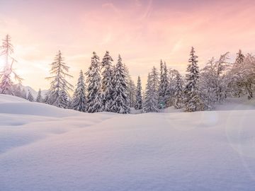 Winter sunset in the snowy forest