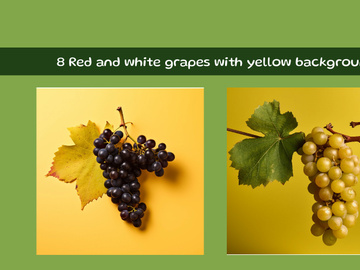Red and white grapes with yellow background
