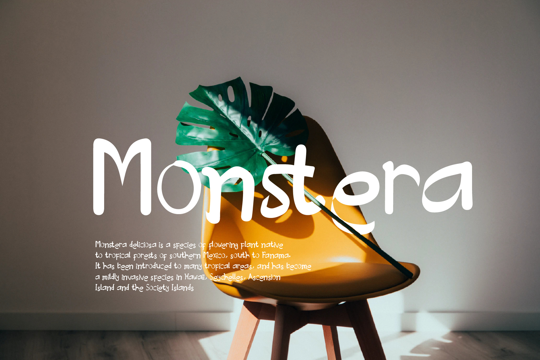 Diseñador Creativo