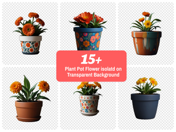 Plant pot flower isolated on transparent background