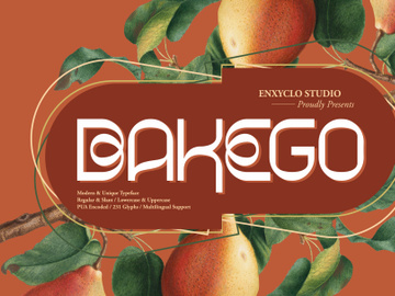 BAKEGO - Unique & Modern Typeface