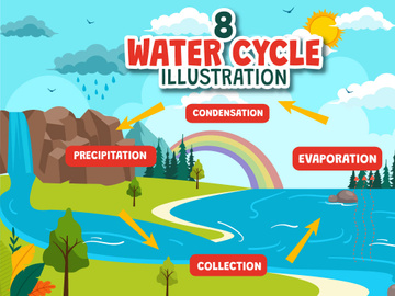 8 Water Cycle Illustration