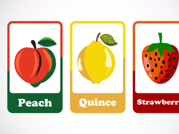 Fruit flashcards for kids. Educational cards for preschool. Printable vector illustration