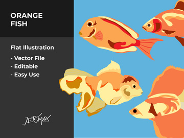 Fish Illustration Vector Bundle