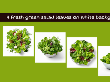 Fresh green salad leaves on white background