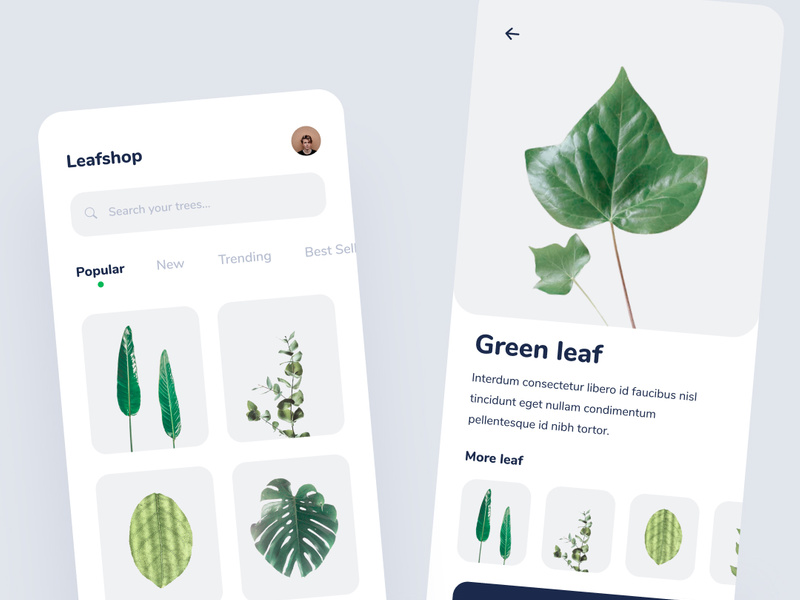 Leaf shop app concept by Ideadesigncodes ~ EpicPxls