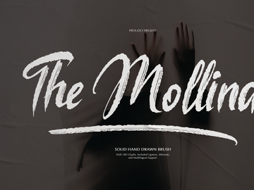 The Mollina | Solid Hand Drawn Brush
