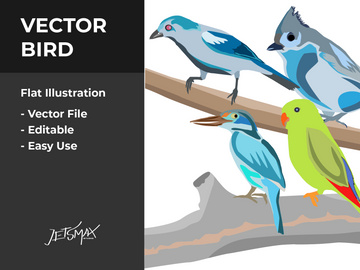 Birds Vector Bundle