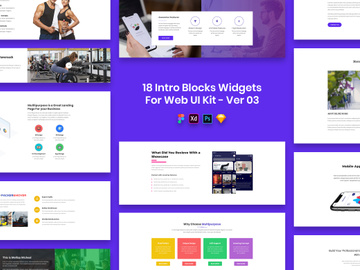 18 Intro Blocks Widgets for Web UI Kit Ver-03