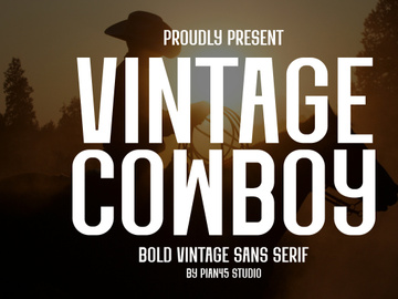 Vintage Cowboy - Bold Vintage Sans Serif