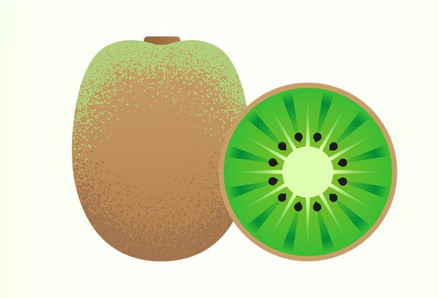 自然的礼物 | 12幅免费插图(Gifts of Nature | 12 free illustrations)插图5