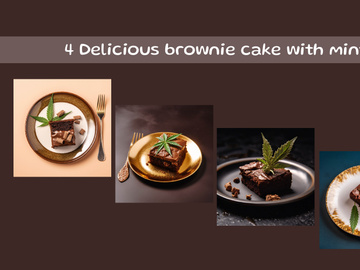 Delicious brownie cake with mint